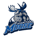 Moose du Manitoba