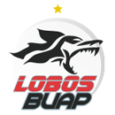 Lobos BUAP (M)